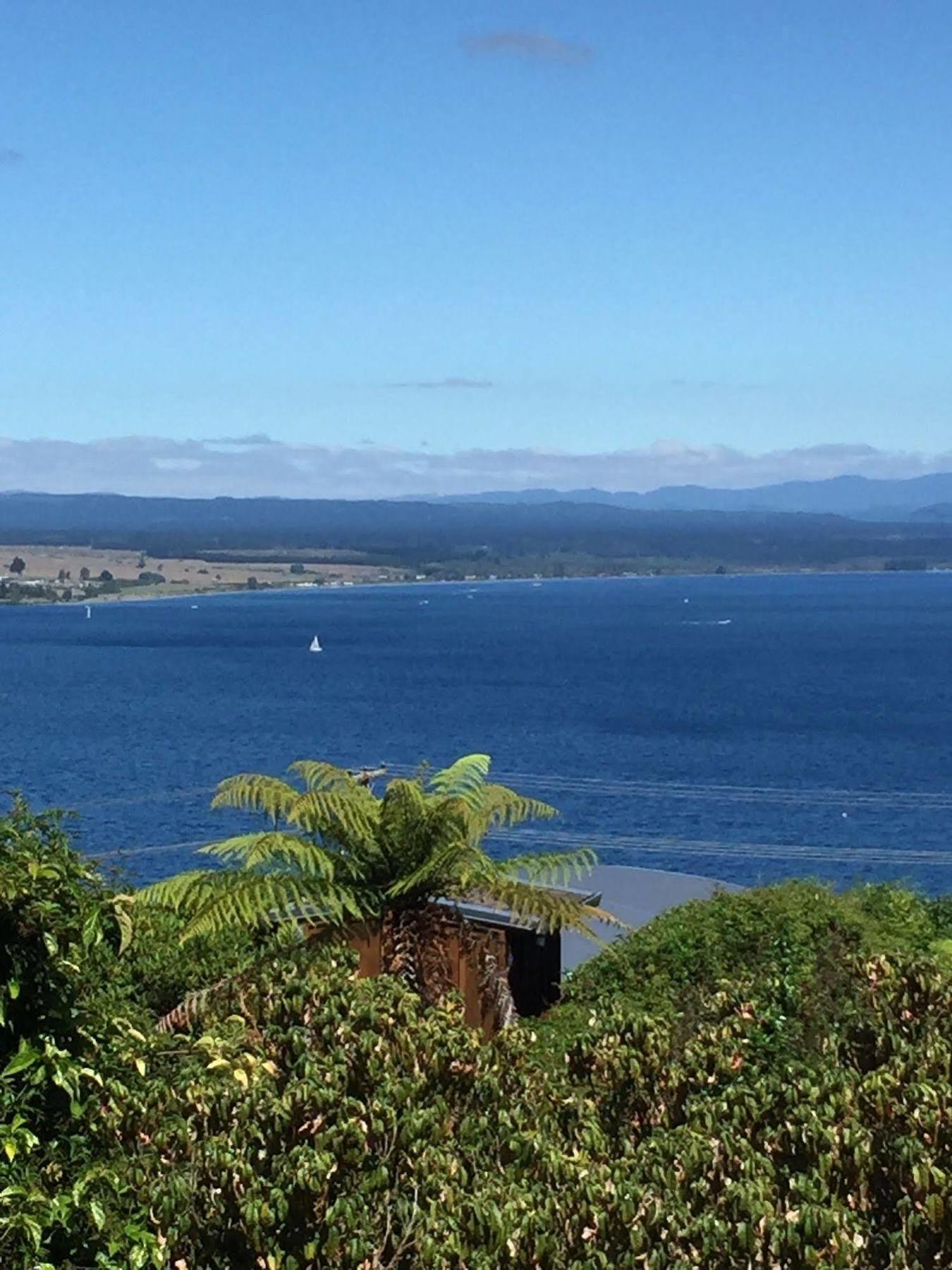 The Flying Trout Boutique Lodge Taupo Exterior foto